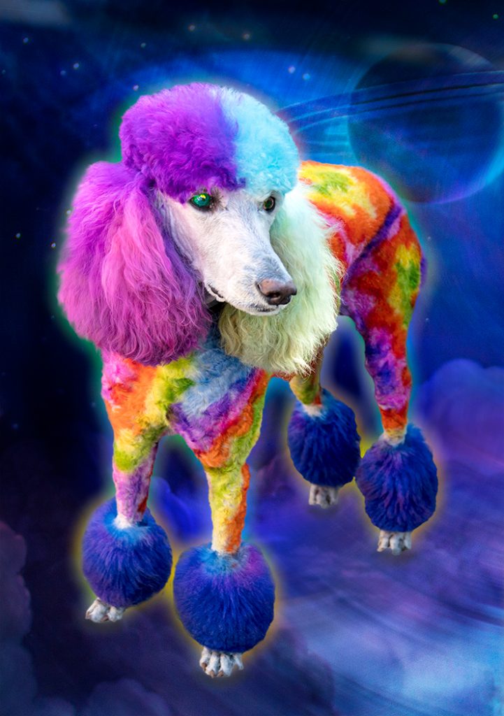 Astro The Wonder Dog - Howard Hunt